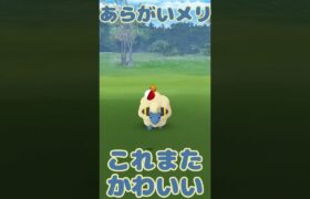 いろんなメリープかわいい #ポケモンGO #色違い #shorts