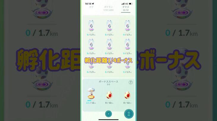 【ポケモンGO】コミュ乙☆10kmタマゴ9連🥚#ポケモンgo #shorts