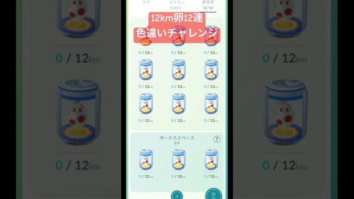 【ポケモンGO】12km卵12連チャレンジ!通常孵化装置で12kmは長かった!#ポケモンgo #pokemongo #色違いポケモン #shorts