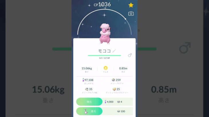 【ポケモンGO】色違いメリープ➡︎デンリュウ【コミュデイ2023年11月復刻】 #shorts