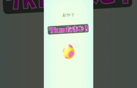 【ポケモンGO】7kmたまごから何が出る？#ポケモンgo #pokemongo