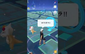 【ポケモンGO】花飾りガラガラが現れた!!【🌺Dia de muertos Marowak Pokémon GO X Pokemon Card Artwalk🌺】