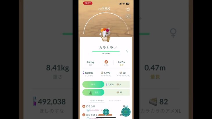 【ポケモンGO】花飾りカラカラをGO plus+が捕まえてくれてました✨️          #ポケモンGO #ポケモン #花飾りカラカラ #イベント