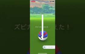 【ポケGO】ズピカが新規実装された！【ポケモンGO/Pokémon GO】