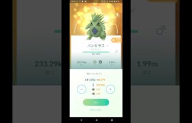 ポケモンGO　ライトバンギラスを、PL20からPL50まで、一気にフル強化をやってみた。