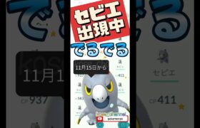 【ポケモンGO】セビエアメXLGETして！セビエ出現中！！ファッションウィーク裏イベント🕶️ #セビエ