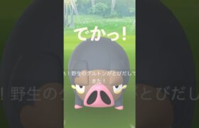 【ポケモンGO】でかい！グルトン！#ポケモンgo #pokemongo