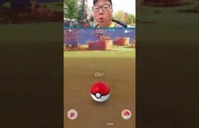I Caught a Diancie in the Wild, Or So It Seems… – Pokemon GO, #shorts #pokemongo