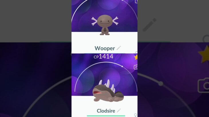 💥Paldean wooper & Clodsire in pokemon go.