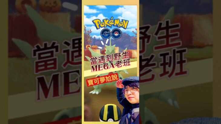 【Pokemon GO 】如何捕捉超級班基拉斯？How to catch mega Tyranitar？#pokemongo #超級班基拉斯 #megaTyranitar #艷陽YANYANG