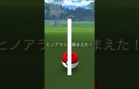 Pokemon GO ヒカリとヒノアラシ #ポケモンgo #色違い #ヒノアラシ