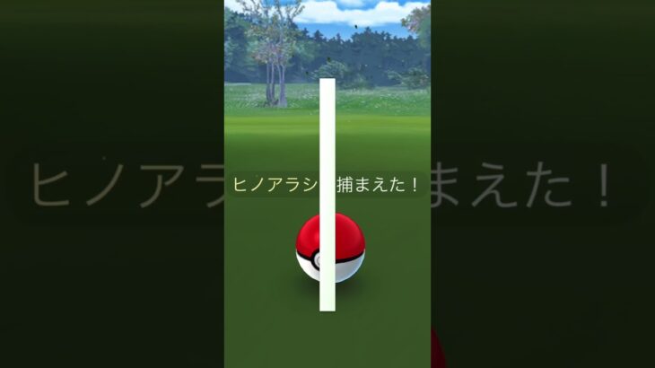 Pokemon GO ヒカリとヒノアラシ #ポケモンgo #色違い #ヒノアラシ