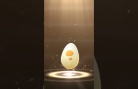 Pokemon go 5 km egg hatch 🐣 l #pokemongo