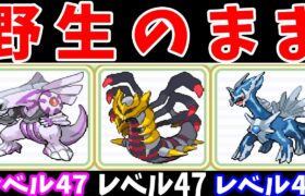 野生のシンオウ禁止伝説で殿堂入りってできるの？【ゆっくり実況】【ポケモンPt】