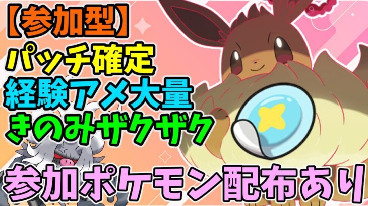 ちょー楽勝！最強イーブイ周回　 #参加型  #ポケモンSV #Pokémon