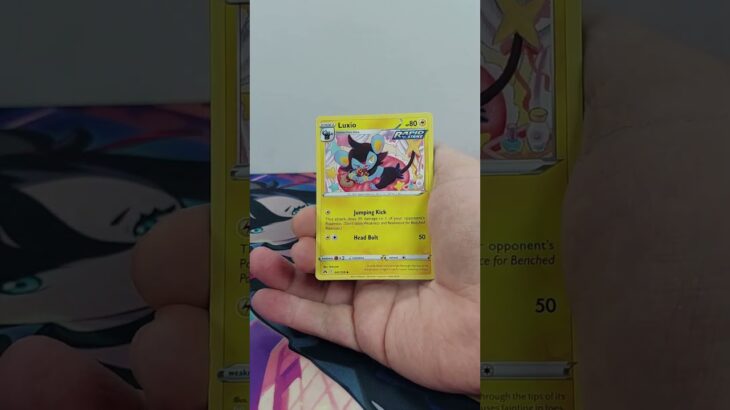 The Beauty of the Beast🔥🤩 | Crown Zenith |  #unboxing #pokemontcg #ポケモン