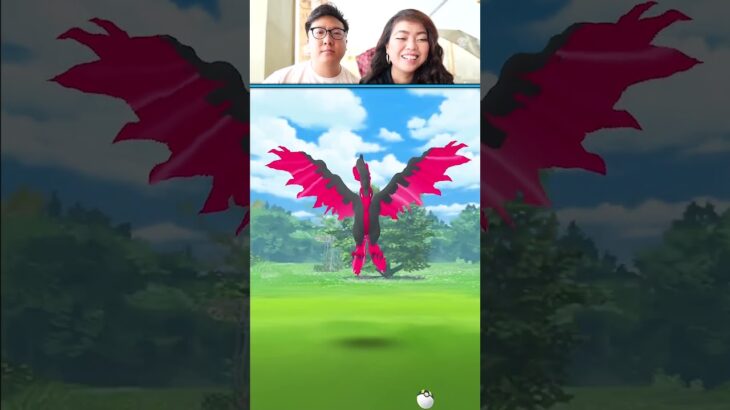 Using The Catch Trick on Galarian Moltres, But… – Pokemon GO, #shorts #pokemongo