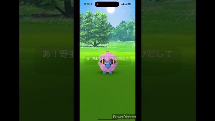 わたあめちゃん🐏#ポケモンgo