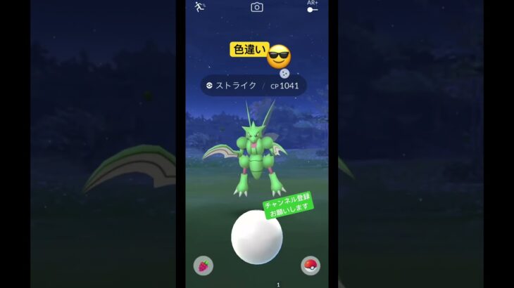 ボールからの #ポケモンgo #ポケgo #ポケモン #pokemongo #pokemon #色違い #色違いポケモン #ストライク #scyther #チャンネル登録お願いします #shorts