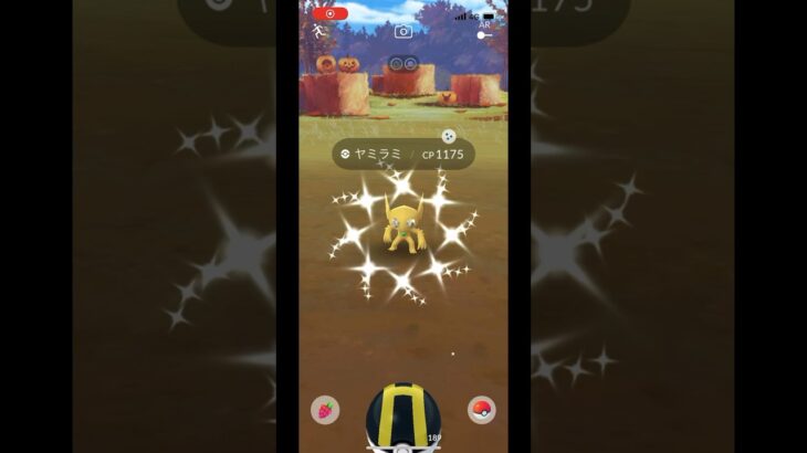 ポケモンgo 野生の色違いヤミラミゲットチャレンジ　金のヤミラミ　#pokemongo #shiny