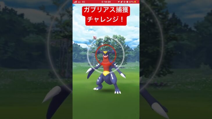 ガブリアス捕獲チャレンジ！#ポケモン #ポケモンgo #shorts