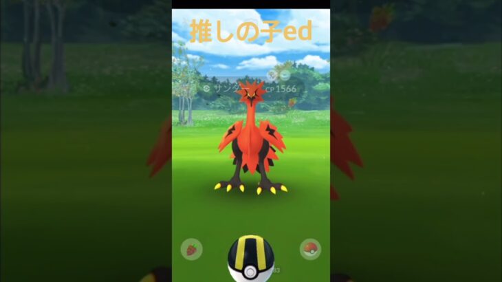 【ポケモンgo】【推しの子ed】ガラルサンダーに初めて会うことができたが…#shorts