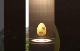pokemon eggs #pokemongo #ポケモンgo #games #gaming #pokemon