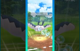 【速成カップ】マンタイン、強い！ マンタイン、ドオー、sヌオー #ポケモンgo#スーパーリーグ#gbl #goバトルリーグ