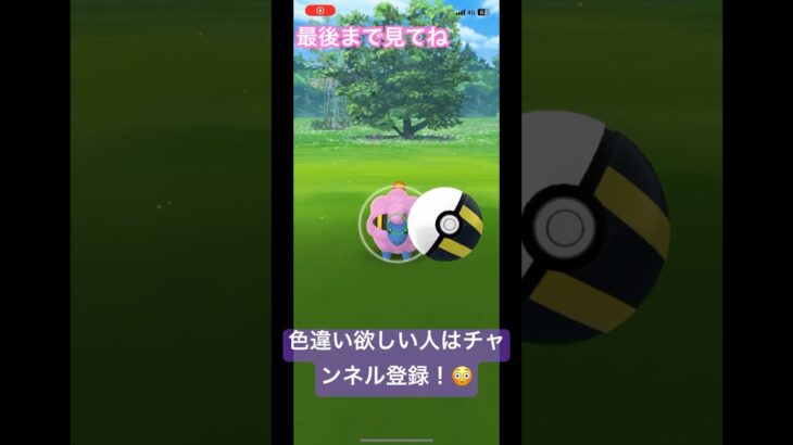 色違いメリープを捕獲します！ #shorts #ポケモンgo色違い #ポケモンgo