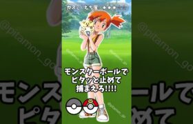 ▼カスミが現れた…! #shorts #pokemon #pokemongo #ポケモンGO