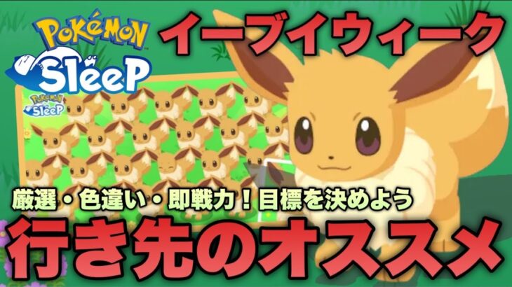 イーブイウィークはどこに行く？目標に合わせたオススメを解説します【ポケモンスリープ/安心院幽】