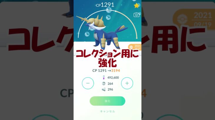 ダイケンキ🌊個体値100％PL50強化✨ #pokemongo #ポケモンgo #ダイケンキ