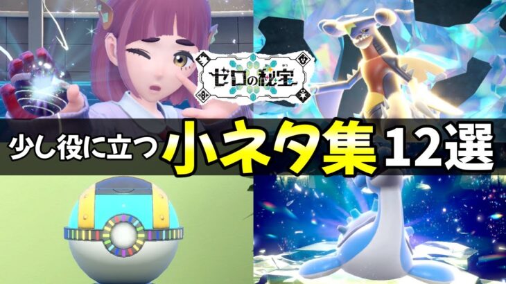 【藍の円盤】知っておくと得する！小ネタ集12選【ポケモンSV】