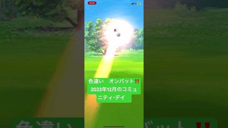 色違い　オンバット‼️  2023年12月コミュニティ・デイ　ポケモンGO