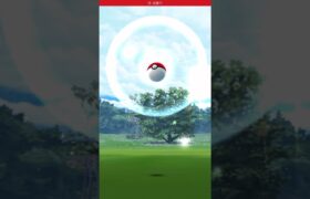 ゲットの瞬間　パート334 ポケモンgo #pokemon