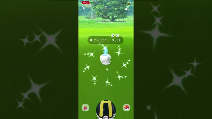 初めてです‼️  色違い２匹連続‼️  ミニリュウ　ヒトモシ　ポケモンGO  ゲット‼️