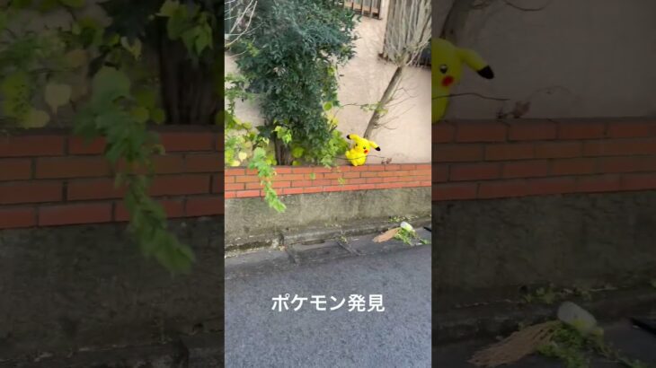 リアルポケモンGO #ポケモン　#ピカチュウ