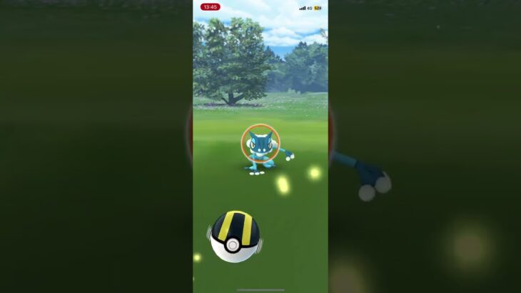 野生のゲコガシラ　出現‼️  でも⁉️  ポケモンGO