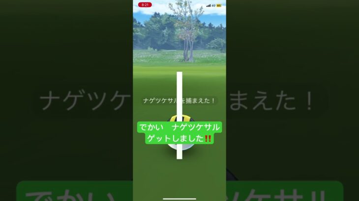 でかい　ナゲツケサル　ゲットしました‼️  ポケモンGO