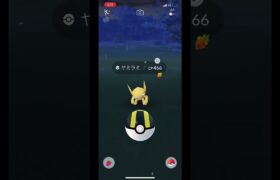 ポケモンGO PokémonGo