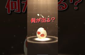 【ポケモンGO】12kmタマゴから〜？#ポケモンgo #pokemongo