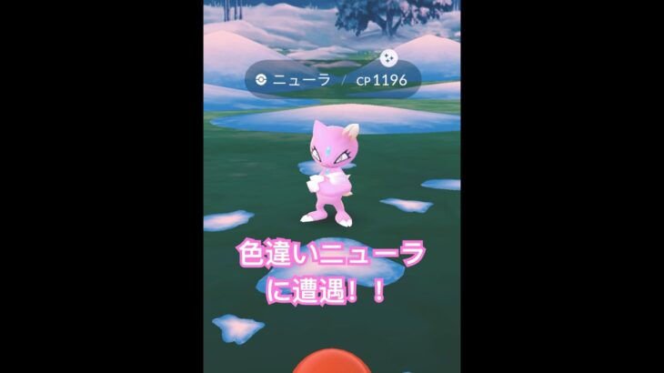 【ポケモンGO】色違いニューラGET！！【ウィンターイベント】#shorts