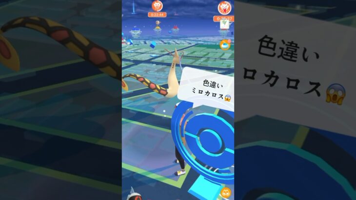 【ポケモンGO】色違いミロカロスが現れた!!【✨Shiny Milotic Pokémon GO X Pokemon Card Artwalk✨】