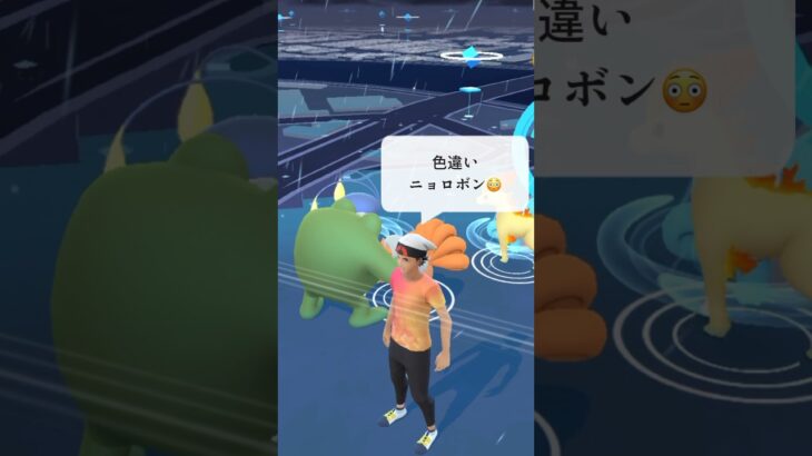 【ポケモンGO】色違いニョロボンが現れた!!【✨Shiny Poliwrath Pokémon GO X Pokemon Card Artwalk✨】