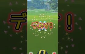 【ポケモンGO】でかい！ケロ！#ポケモンgo #pokemongo