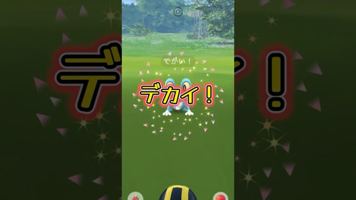 【ポケモンGO】でかい！ケロ！#ポケモンgo #pokemongo