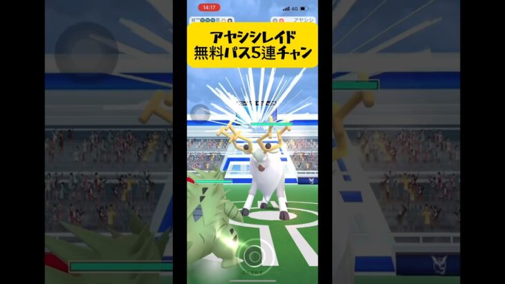 【ポケモンGO】アヤシシレイドデイ結果発表〜#ポケモンgo #shorts #アヤシシ#色違いポケモン #高嶺の花子さん