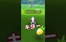 Pokemon GO ポケモンレッドアイ！ #ポケモンgo #色違い #おさんぽおこう #shorts