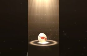 Pokemon Go Egg hatching 17