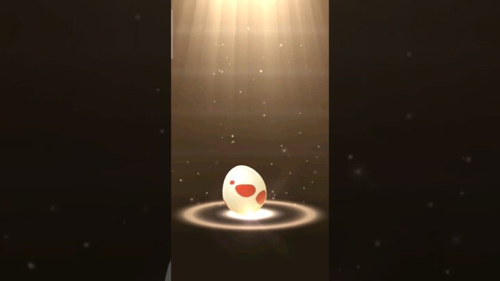 Pokemon Go Egg hatching 17